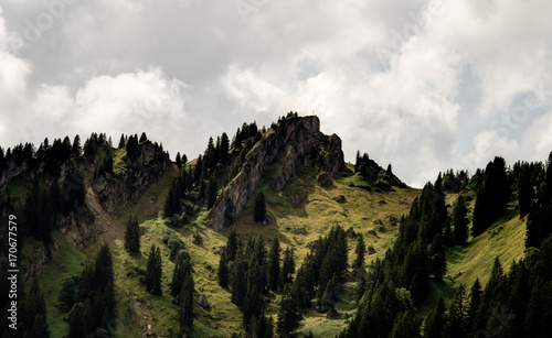 Steineberg in the bavarian alps near Immenstadt