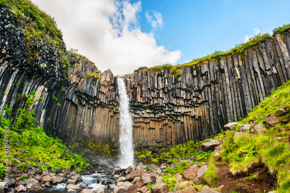 Fototapeta premium Svartifoss waterfall in Iceland.