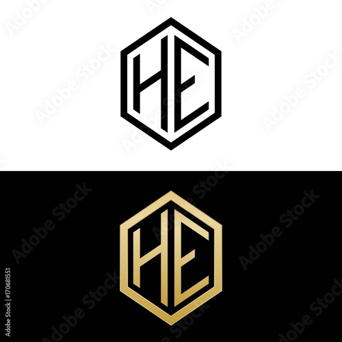 initial letters logo he black and gold monogram hexagon shape vector