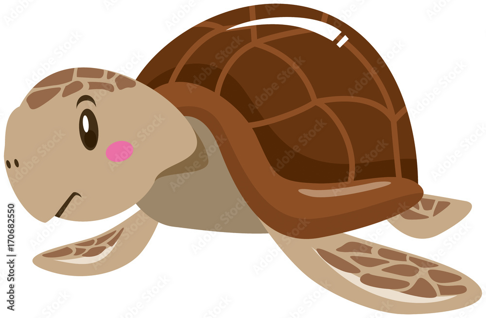 かわいいウミガメのイラスト Stock Vector Adobe Stock