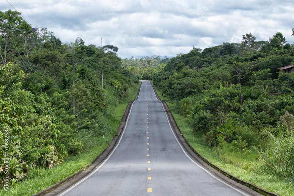 road through the Amazon area of Ecuador