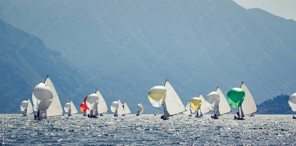 Naklejka premium regata