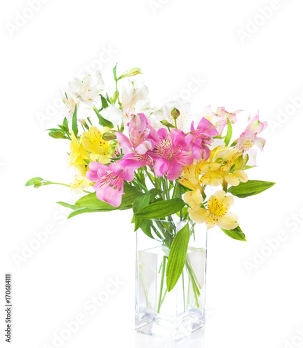 Bouquet of  colorful Alstroemeria flowers isolated on white background.