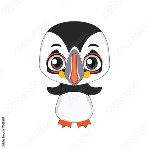 Cute stylized cartoon puffin illustration ( for fun educational purposes, illustrations etc. )