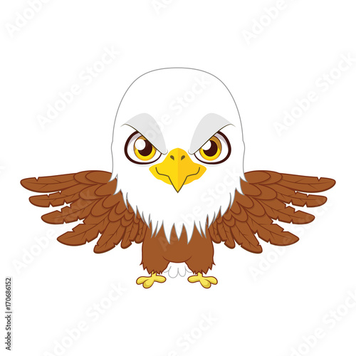 Cute stylized cartoon eagle illustration ( for fun educational purposes, illustrations etc. )