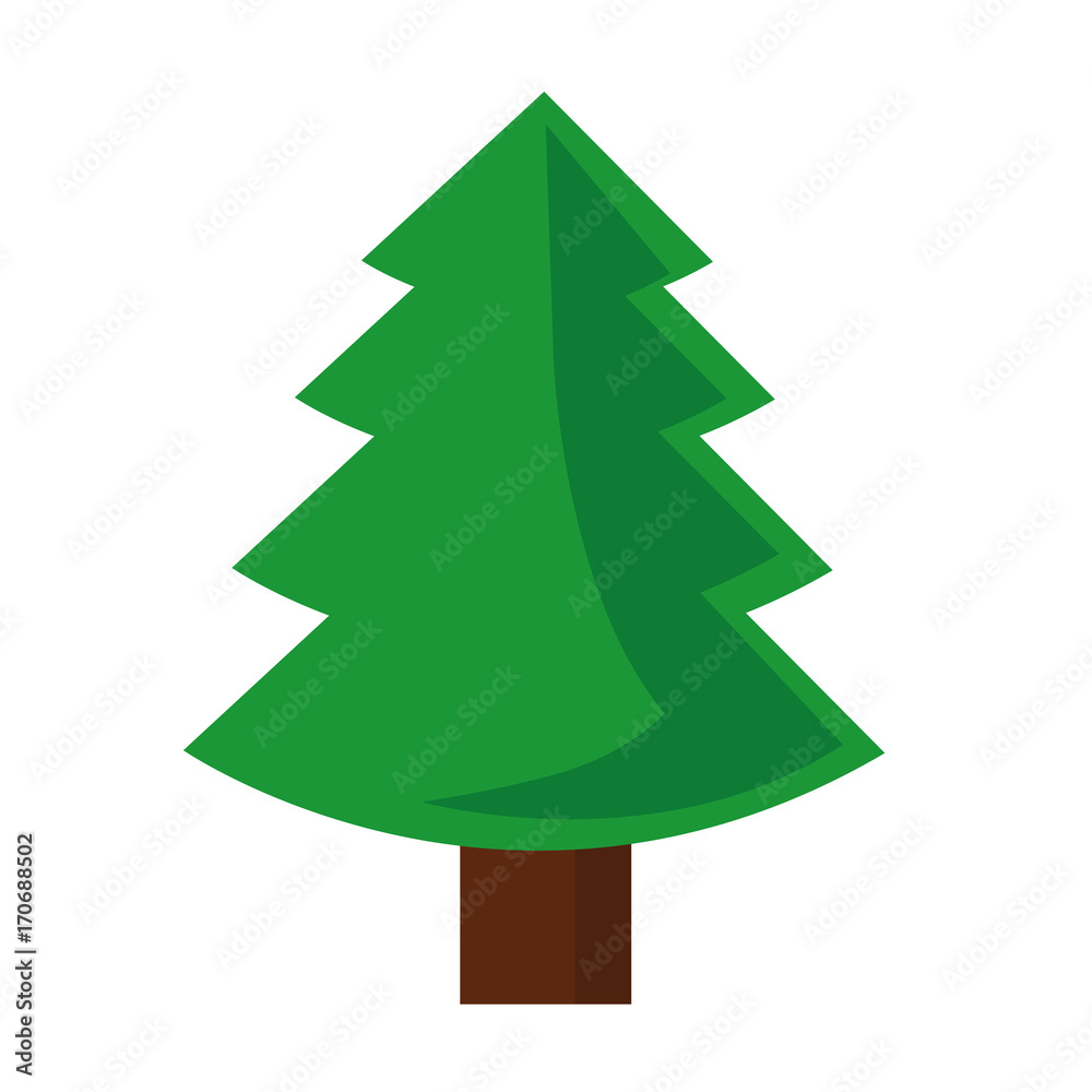 tannenbaum