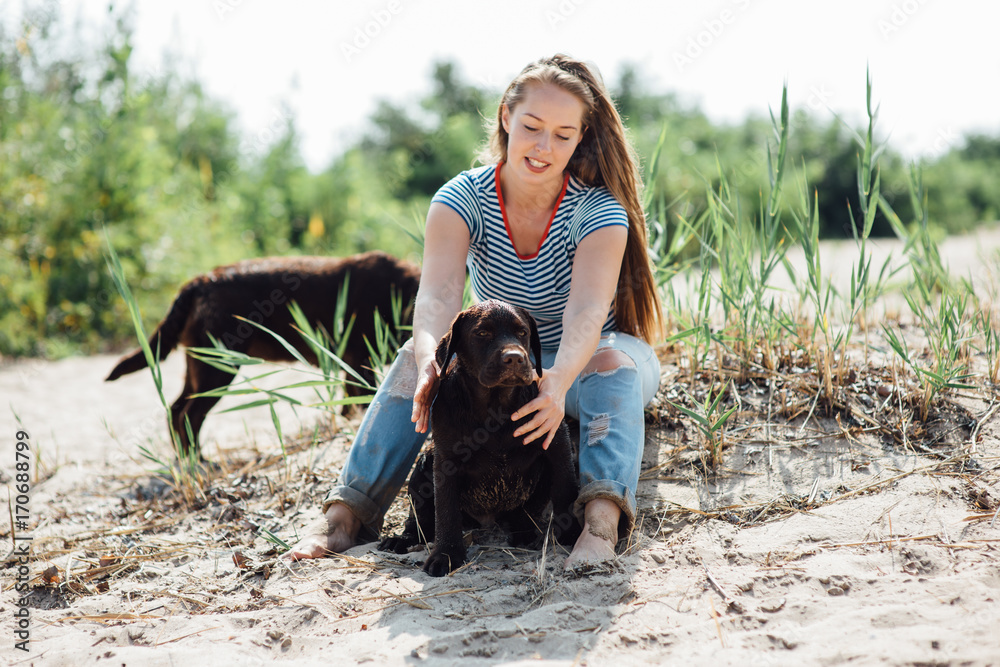 beautiful girl is playing with brown labradors