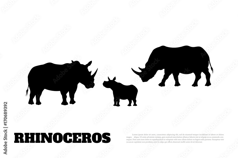 Obraz premium Black silhouette of a rhino family on a white background. Big rhinoceros. African animals