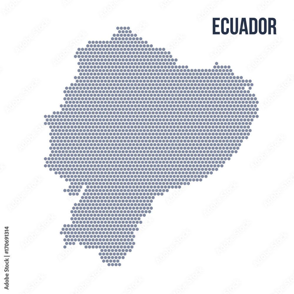Vector hexagon map of Ecuador isolated on white background