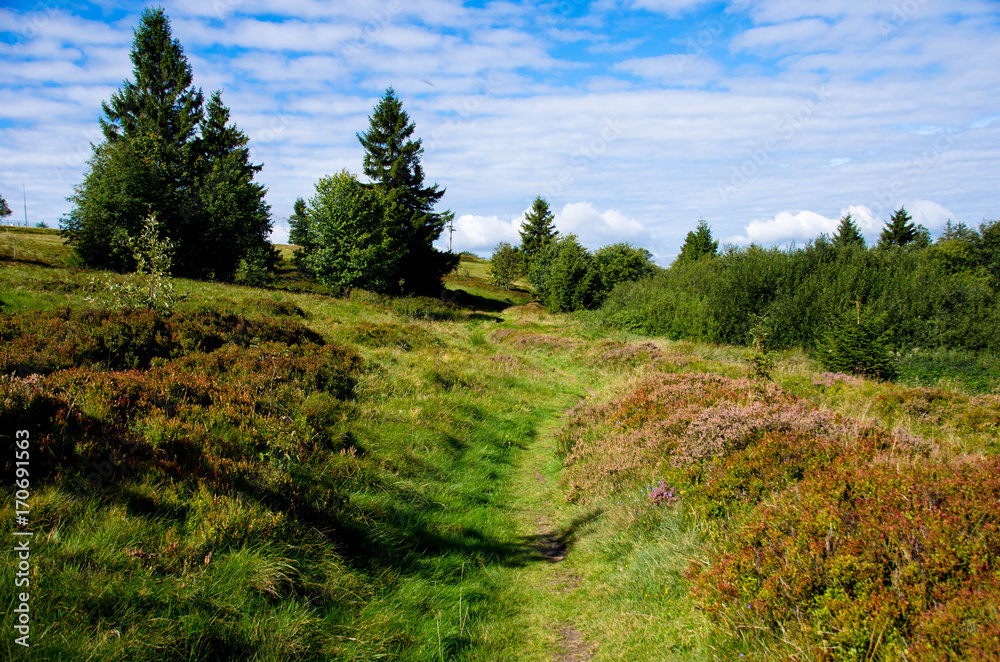 Weg auf dem Champ du Feu in den Vogesen Weg auf dem Champ du Feu in den Vogesen
