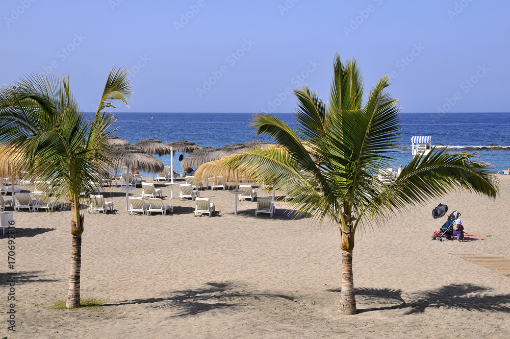 Beach and palm trees on the costa Adeje of the southwest part of Tenerife in the Spanish Canary Islands