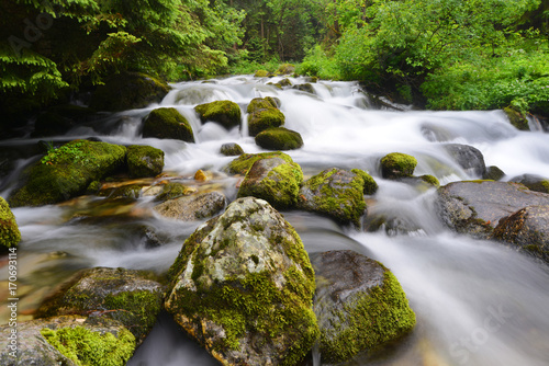 creek in mountain