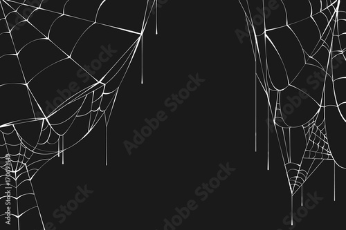 White spiderweb on black background