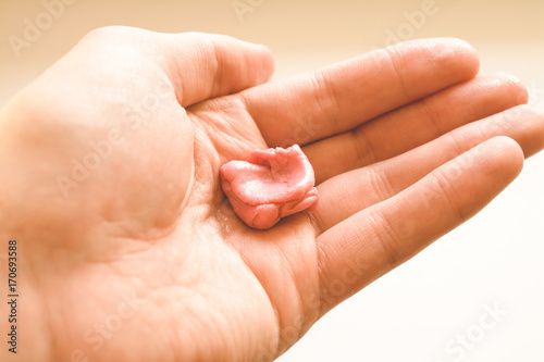 pink chewing gum and man hand isolated on white background