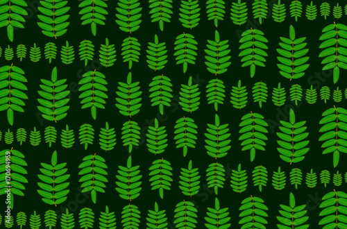 Green leaf of rowan on dark background - vector pattern, (Sorbus aucuparia),