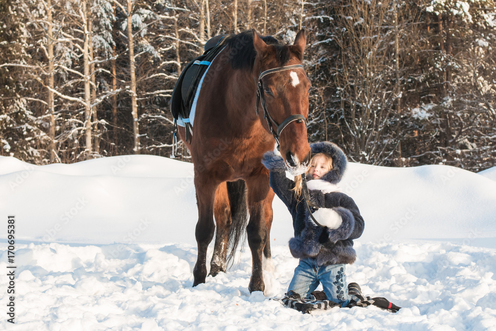 Small girl and horse in a winter Small girl and horse in a winter