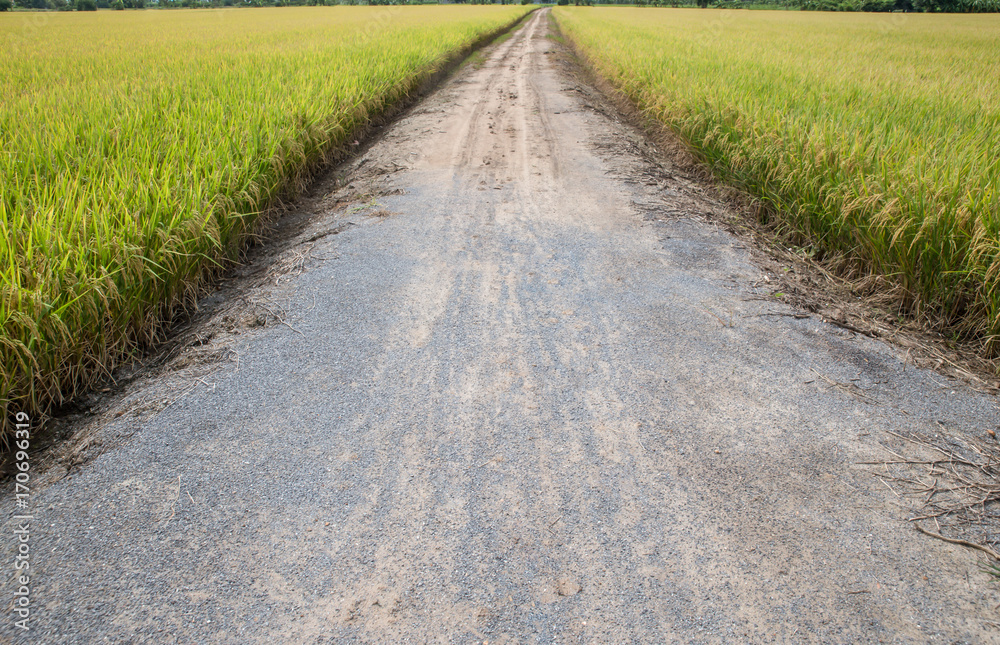 Obraz premium Dirt road at field