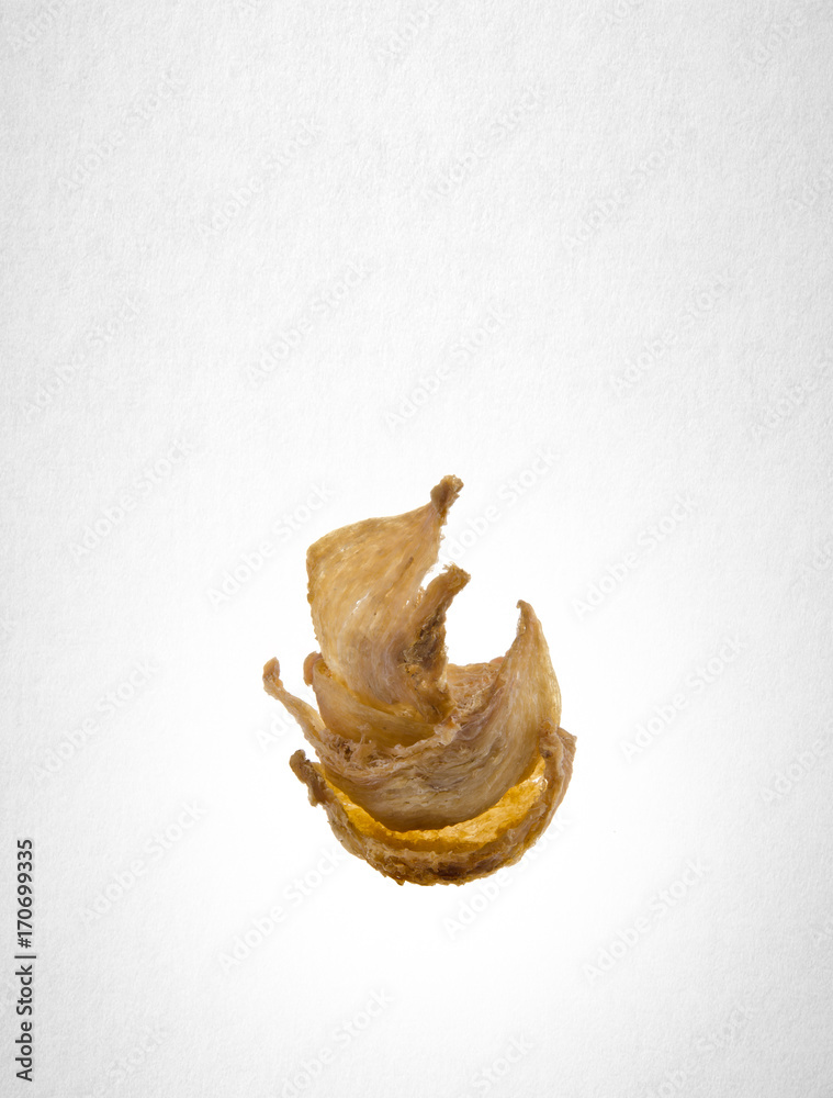 Fototapeta premium bird's nest or dry bird's nest on a background.