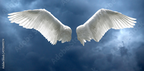 Fotografie, Obraz Angel wings with stormy sky background
