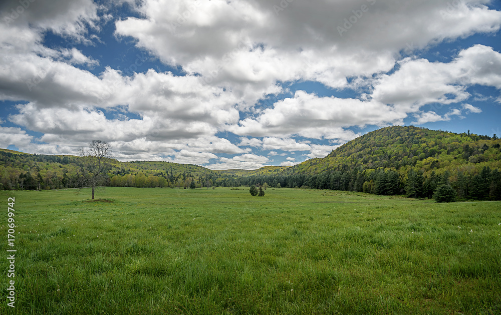 Summer in Green Valley among New England Hills