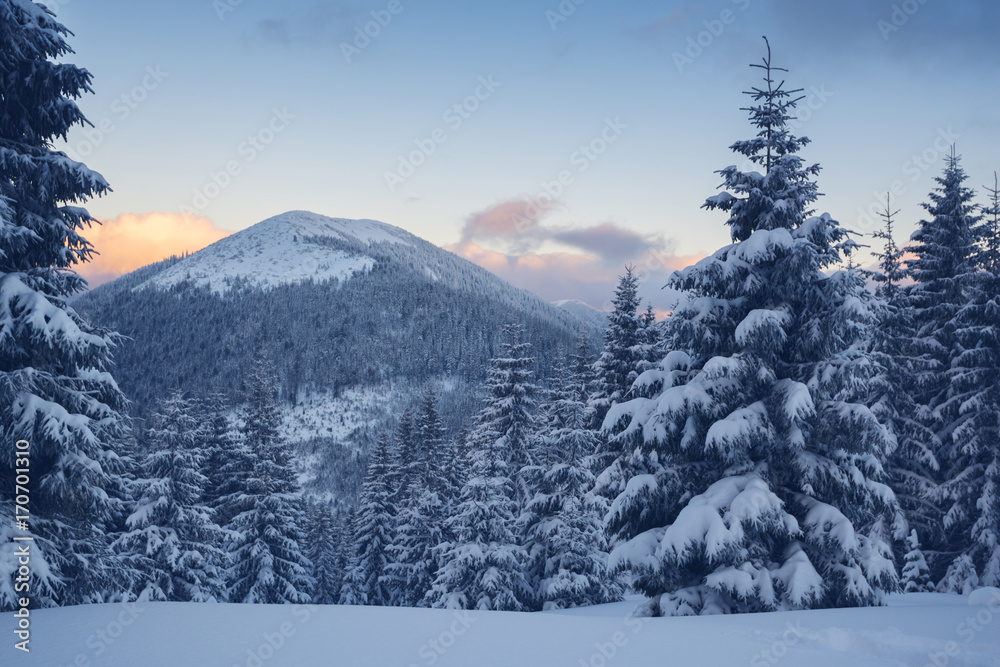Winter landscape in mountains during sunset