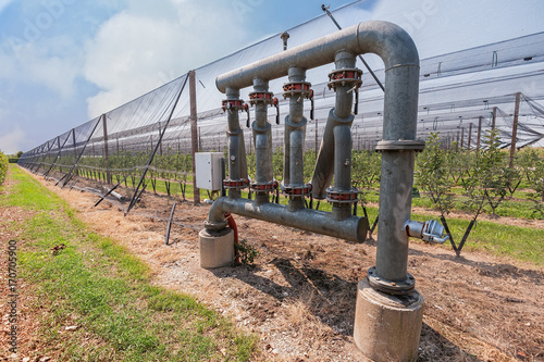 Irrigation system for agriculture. © Franco Nadalin