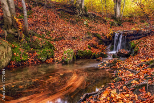 A bright beautiful autumn in the forest. A river with a waterfall, trees with bright leaves. 