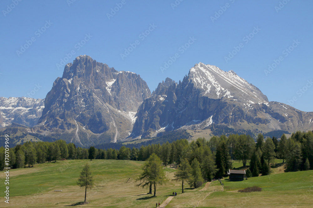 Seiser Alm Blick Richtung Langkofel, Südtirol, Italien, Europa
