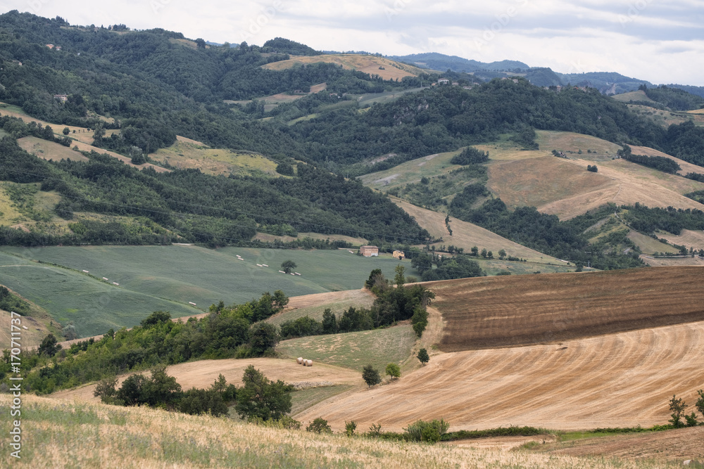 Summer landscape of the Panaro valley (Modena)