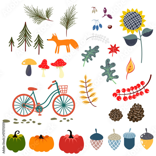 Autumn fall clip art vector illustrations. Forest flowers  leaves  fox and pumpkins on white.