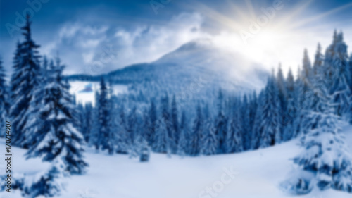 winter landscape on a blurred background