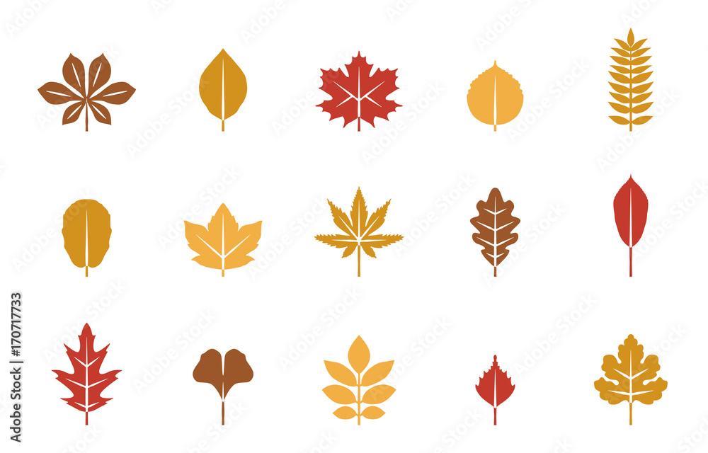 Obraz premium Blätter Herbst & Frühling - Herbstfarben