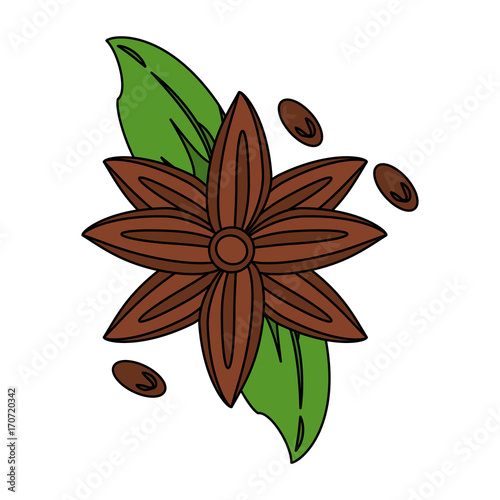 anise star seed icon image vector illustration design 
