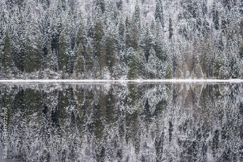 Winter landscape in Bavaria, Arbersee © sandradombrovsky