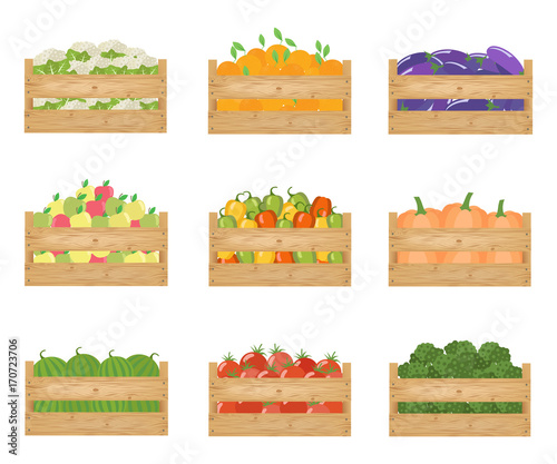 Fresh healthy vegetables and fruits in a wooden boxes. Vector illustration.