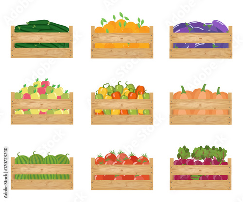 Fresh healthy vegetables and fruits in a wooden boxes. Vector illustration.
