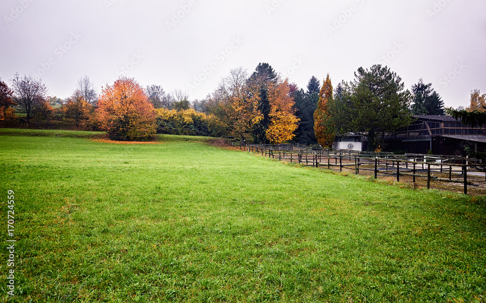 Autumn landscape, countryside hippodrome