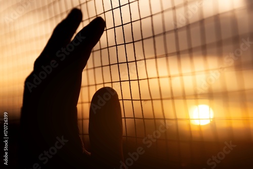 Hand on cage. Concept of freedom
