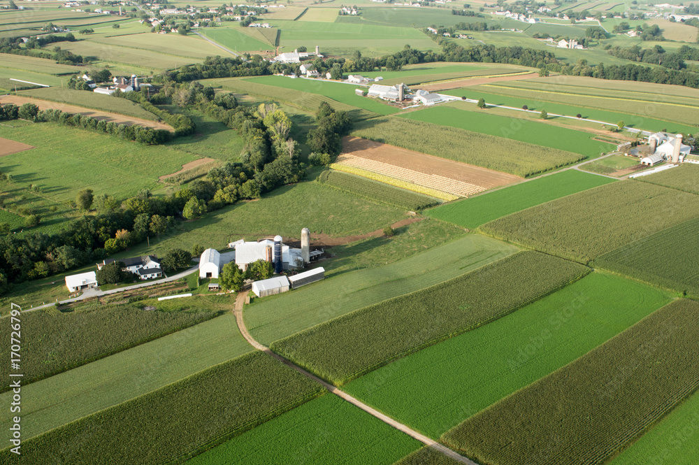 Farm Land from Above