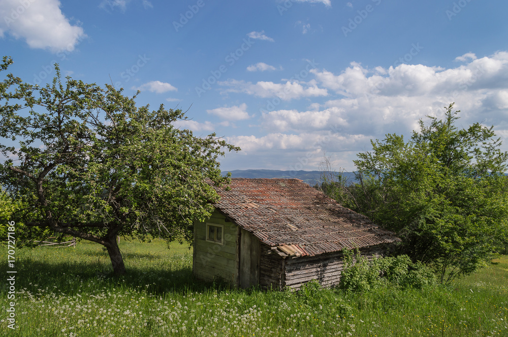 Rural Cottage, Bulgaria
