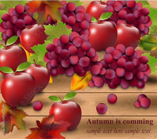 Red grapes on wood background. Season harvest Vector realistic illustration