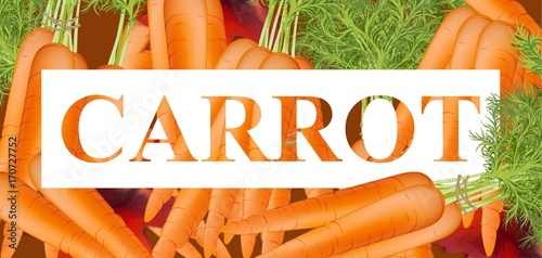 Carrots text background. Vector template detailed realistic illustration
