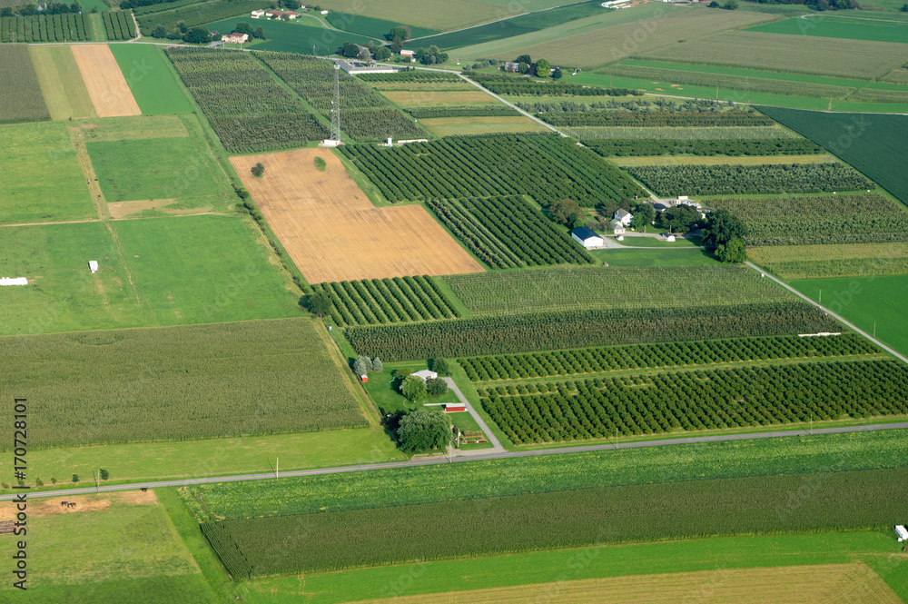 Obraz premium Orchards From Above