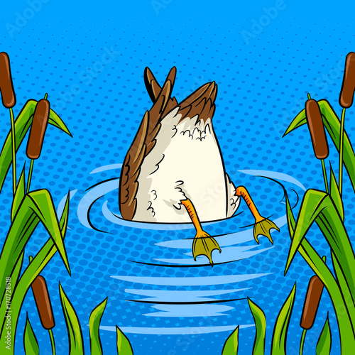 Duck dives into the pond pop art vector