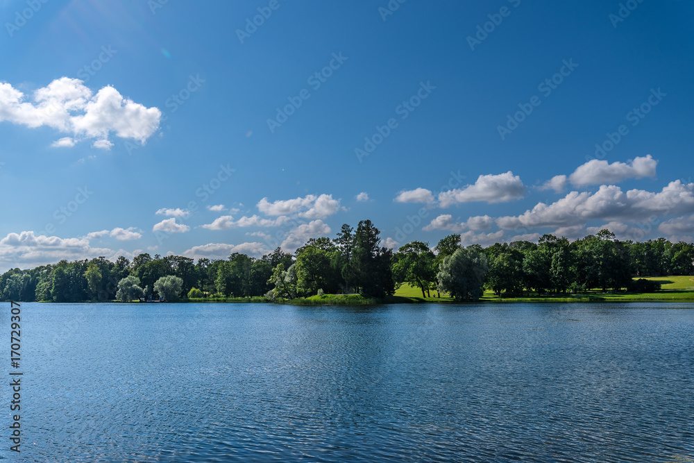 Lake in a natural park with trees growing on the banks