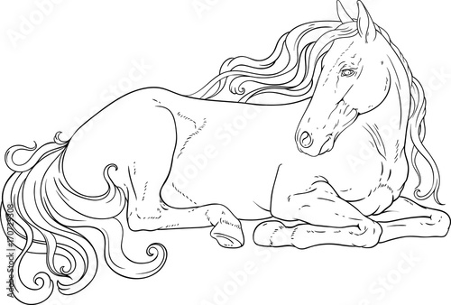 Resting horse with curly tail and mane.