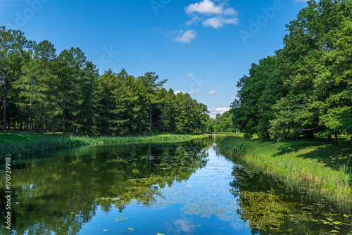 Lake in a natural park with trees growing on the banks