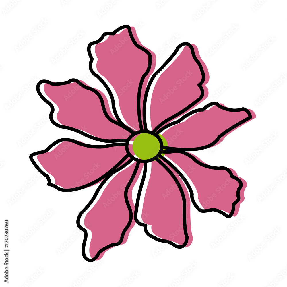 Beautiful decorative flowers icon vector illustration graphic design Beautiful decorative flowers icon vector illustration graphic design