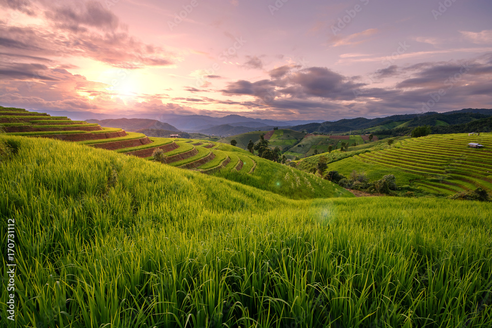 Beautiful step of rice terrace paddle field in sunset and Lens Flare at Chiangmai, Thailand. Chiangmai is beautiful in nature place in Thailand, Southeast Asia. Travel concept.