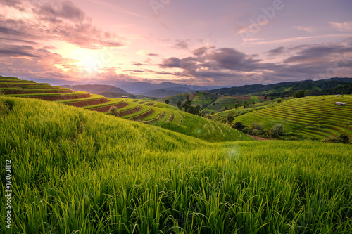 Beautiful step of rice terrace paddle field in sunset and Lens Flare at Chiangmai, Thailand. Chiangmai is beautiful in nature place in Thailand, Southeast Asia. Travel concept.